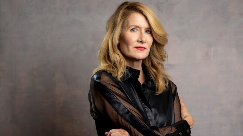 Laura Dern signed on to play reporter in Jeffrey Epstein TV series