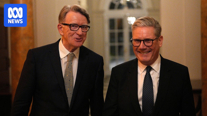 UK prime minister warned of ‘reputational risk’ over ex-ambassador’s links to Epstein, new files show