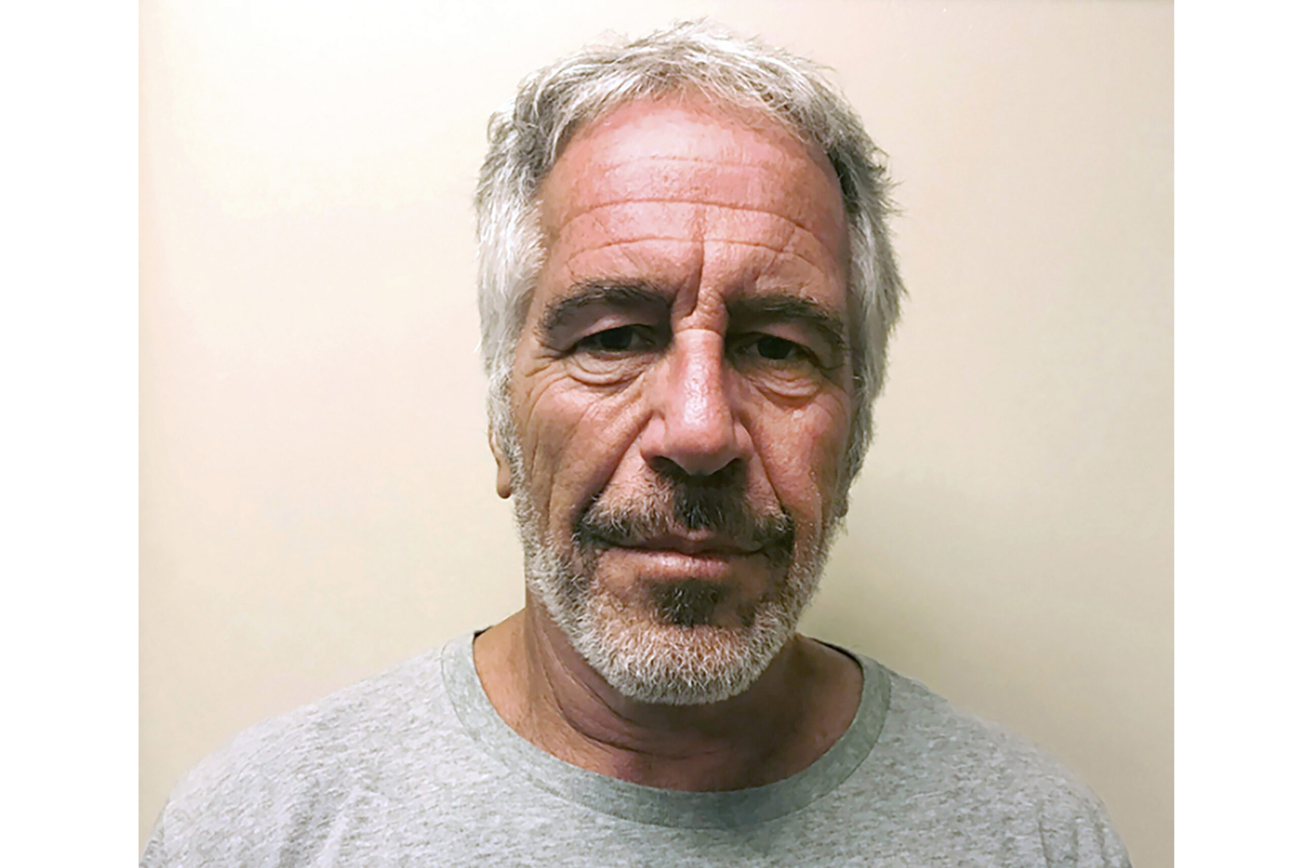 ‘Bales’ of docs shredded days after Epstein died