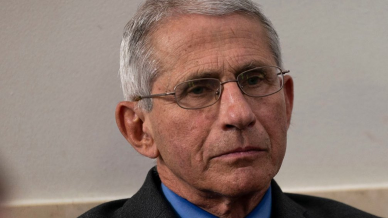 Fauci Private Diaries Exposed: 1,100-Page Leak Reveals Early Lab-Leak Doubts Ahead of Senate Grilling